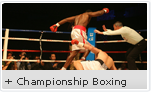 championship boxing tickets